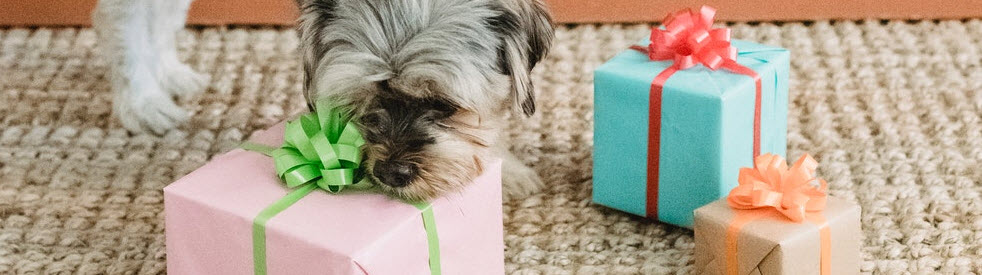 prezenty na każdą okazję